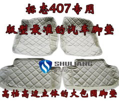 厂家直销品质之选 专为标志407打造的高边大包围3D立体皮革脚垫